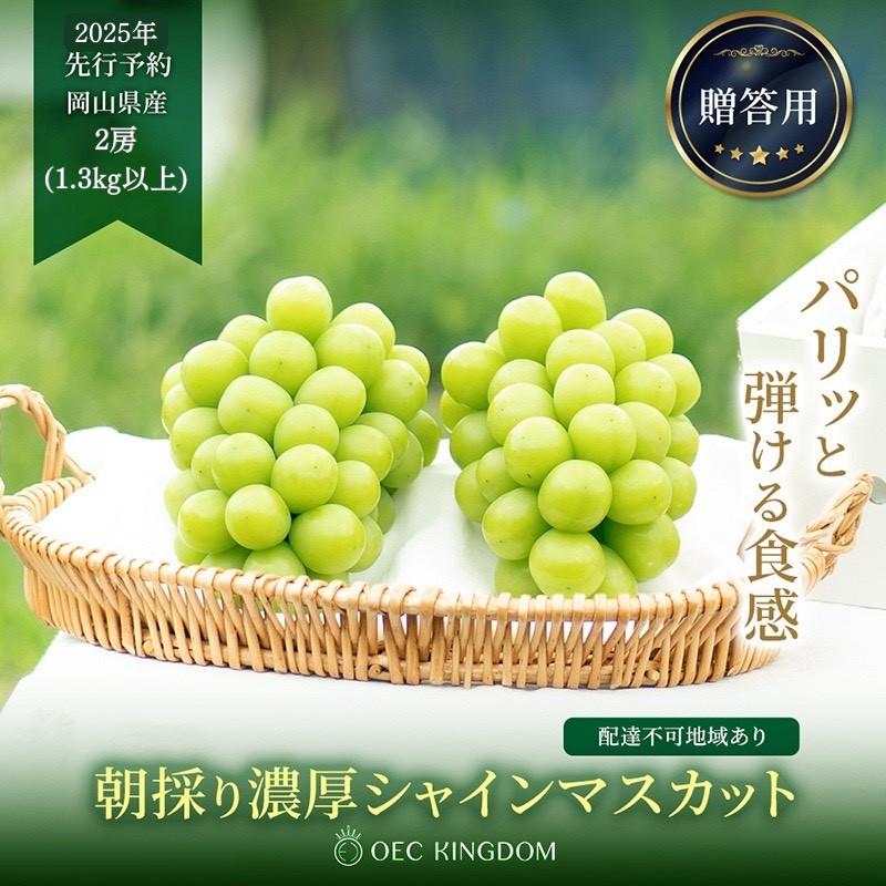 【ふるさと納税】ぶどう 2025年 先行予約 シャイン マスカット 2房（合計1.3kg以上）贈答クラス ブドウ 葡萄 岡山県産 国産 フルーツ 果物 ギフト OEC KINGDOM ぶどう家 | フルーツ 果物 くだもの 食品 人気画像