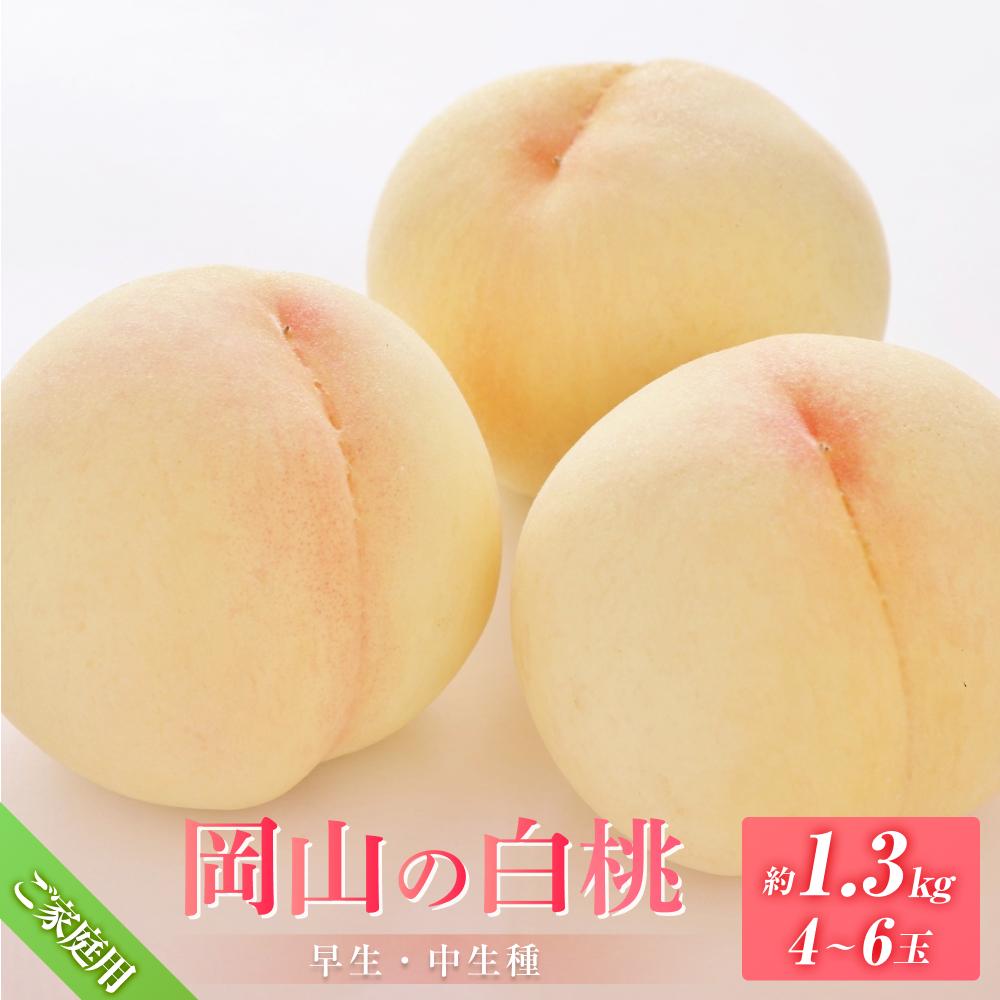【ふるさと納税】桃 2025年 先行予約 ご家庭用 岡山の 白桃（早生、中生種）約1.3kg 4～6玉 もも モモ フルーツ 果物 岡山市 一宮地区産 国産 赤木農園 | もも フルーツ 果物 くだもの 食品 人気 おすすめ 送料無料
