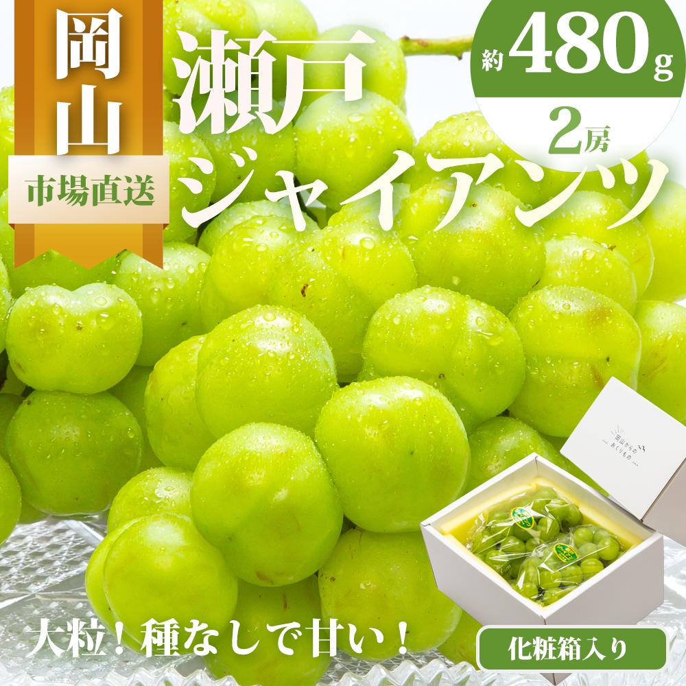 【ふるさと納税】ぶどう 2026年 瀬戸 ジャイアンツ 2房（1房480g以上）約1kg 化粧箱入り ブドウ 葡萄 岡山県産 国産 フルーツ 果物 ギフト | フルーツ 果物 くだもの 食品 人気 おすすめ 送料無料