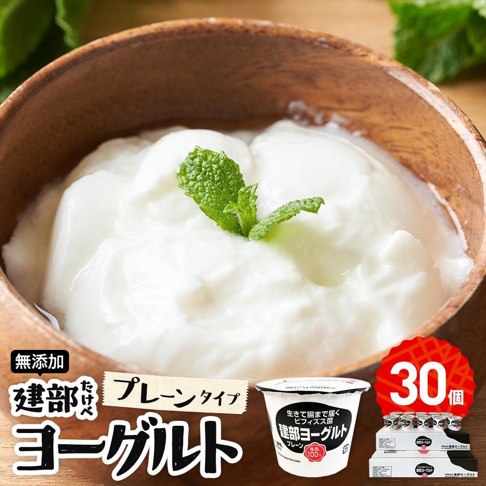 【ふるさと納税】無添加　建部ヨーグルト（プレーンタイプ）30個 | お菓子 菓子 おかし デザート 食品 人気 おすすめ 送料無料｜岡山県岡山市 12,600円