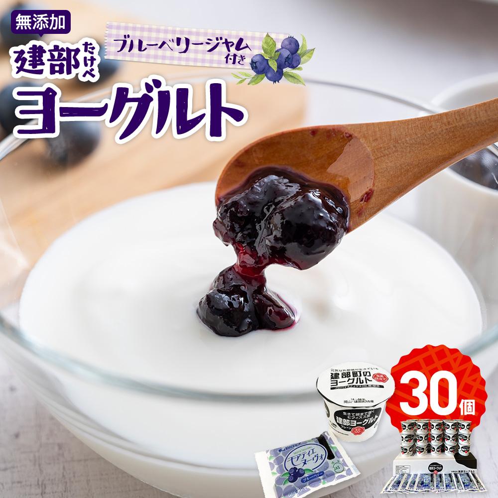 【ふるさと納税】無添加　建部ヨーグルト（ブルーベリージャム付き）30個 | お菓子 菓子 おかし デザート 食品 人気 おすすめ 送料無料