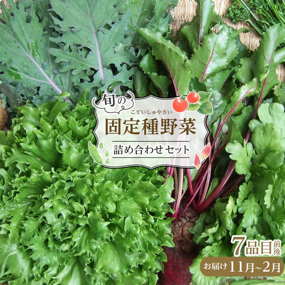 【ふるさと納税】野菜［2025年先行予約］旬の固定種野菜 バイオダイナミック農業 7品目前後（11月～2月のお届け）常温配送 | 野菜 やさい 食品 人気 おすすめ 送料無料