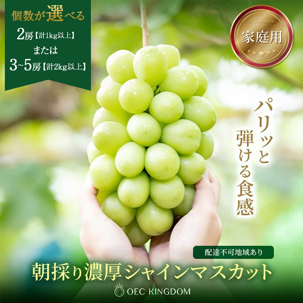 【ふるさと納税】ぶどう 2026年 先行予約 ［ご家庭用］ シャイン マスカット 2房 または 3～5房 (1kg～2kg以上)【第1回全国ぶどう選手権入賞】 | シャインマスカット マスカット ブドウ 葡萄 フルーツ 果物 くだもの 家庭用 岡山県 岡山市 おすすめ 人気