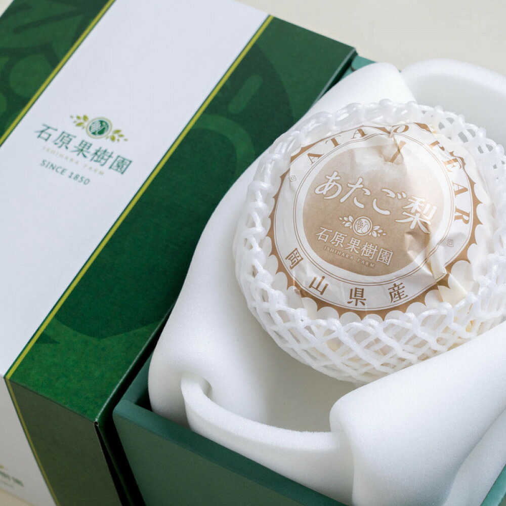 【ふるさと納税】梨 2026年 あたご梨 1玉（約1.1kg） 贈答箱赤秀【ナシ なし 岡山県産 国産 フルーツ 果物 ギフト 石原果樹園】 | フルーツ 果物 くだもの 食品 人気 おすすめ 送料無料