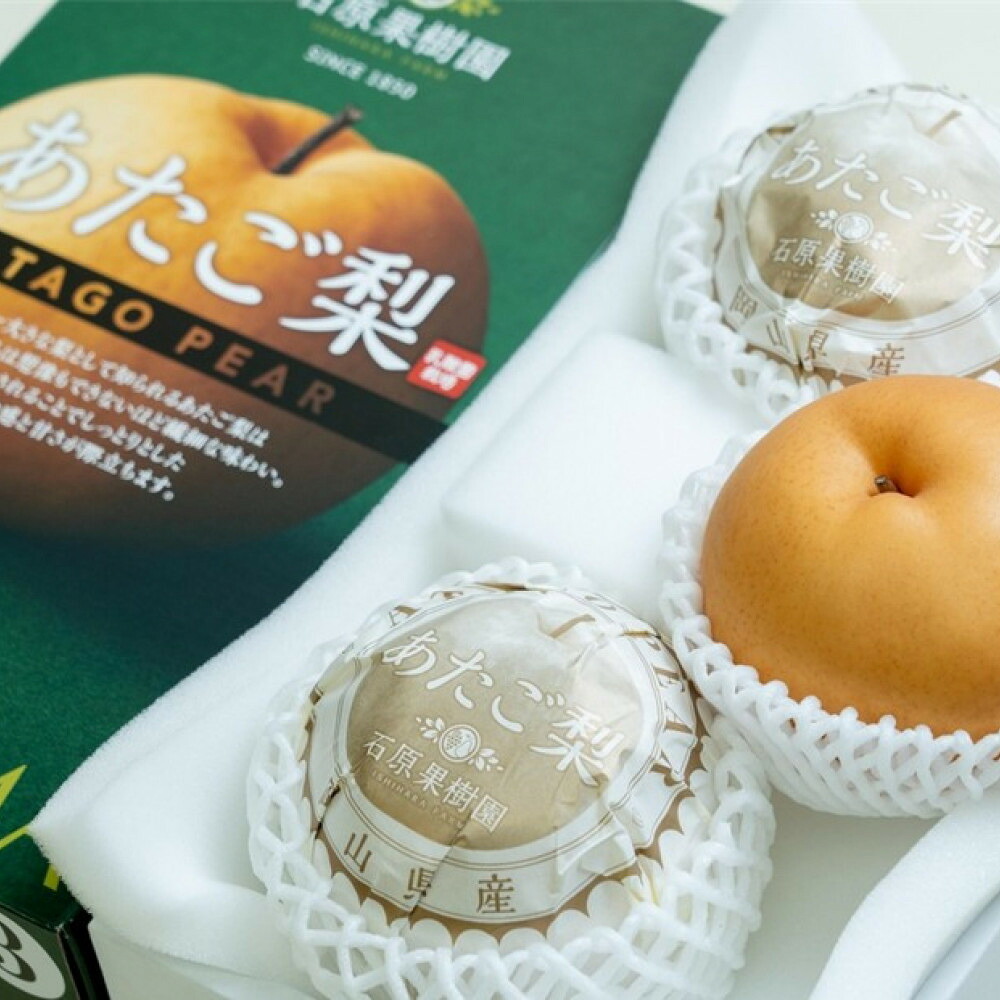 【ふるさと納税】梨 2026年 あたご梨 3玉（約500g玉） 化粧贈答箱赤秀【ナシ なし 岡山県産 国産 フルーツ 果物 ギフト 石原果樹園】 | フルーツ 果物 くだもの 食品 人気 おすすめ 送料無料