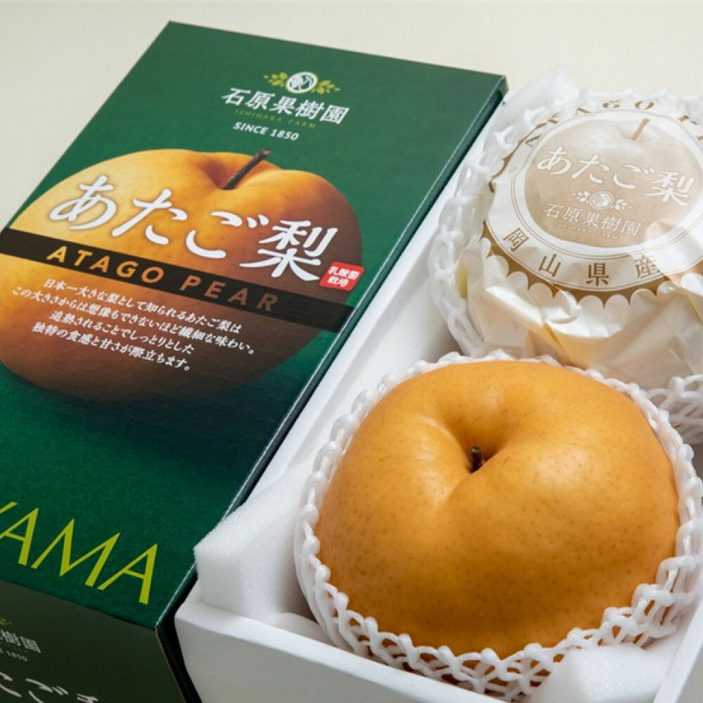 【ふるさと納税】梨 2026年 あたご梨 2玉（約720g玉） 化粧贈答箱赤秀【ナシ なし 岡山県産 国産 フルーツ 果物 ギフト 石原果樹園】 | フルーツ 果物 くだもの 食品 人気 おすすめ 送料無料 10,920円