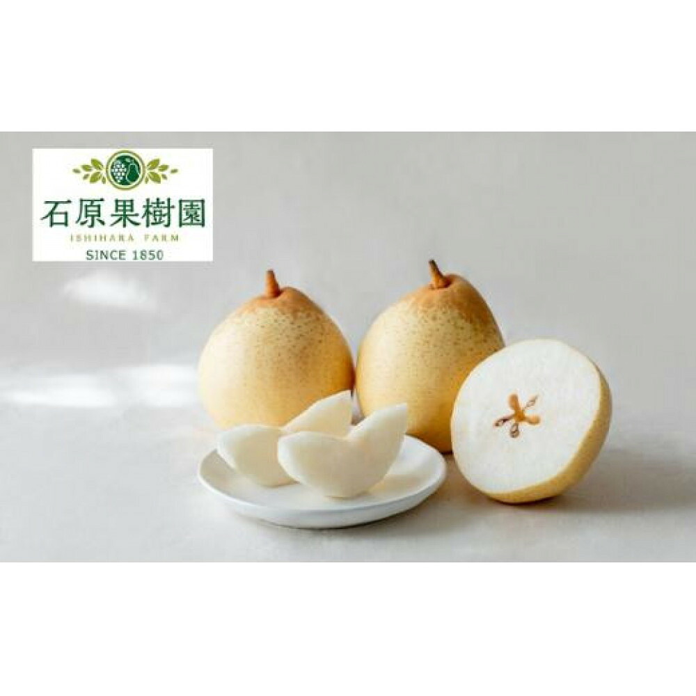 【ふるさと納税】梨 2026年 鴨梨（ヤーリー）大玉6～10玉 約4kg 化粧贈答箱 赤秀【ナシ なし 岡山県産 国産 フルーツ 果物 ギフト 石原果樹園】 | フルーツ 果物 くだもの 食品 人気 おすすめ 送料無料｜岡山県岡山市