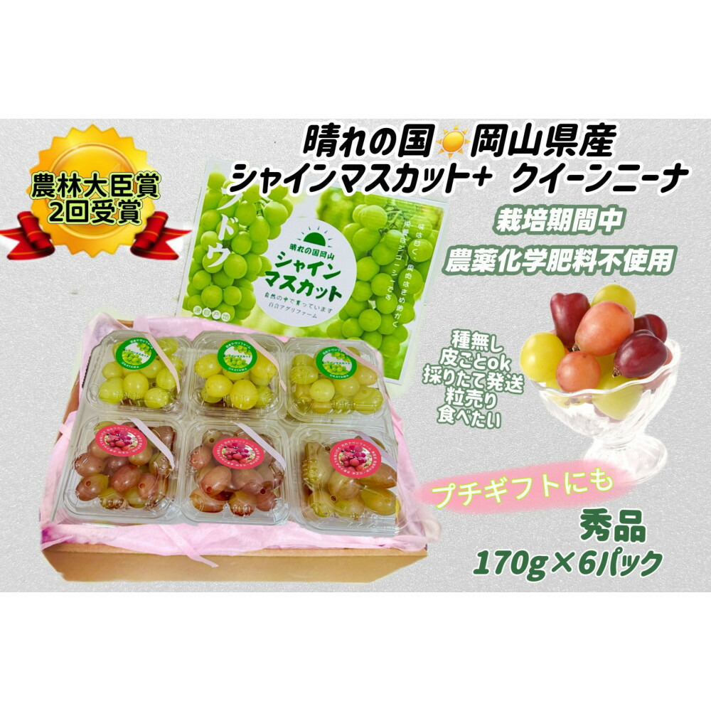 【ふるさと納税】ぶどう2026年 シャインマスカット+クインニーナ 小分け 秀品 粒だけ 約170g6パック 岡山 果物 フルーツ8月上旬から発送｜岡山県岡山市