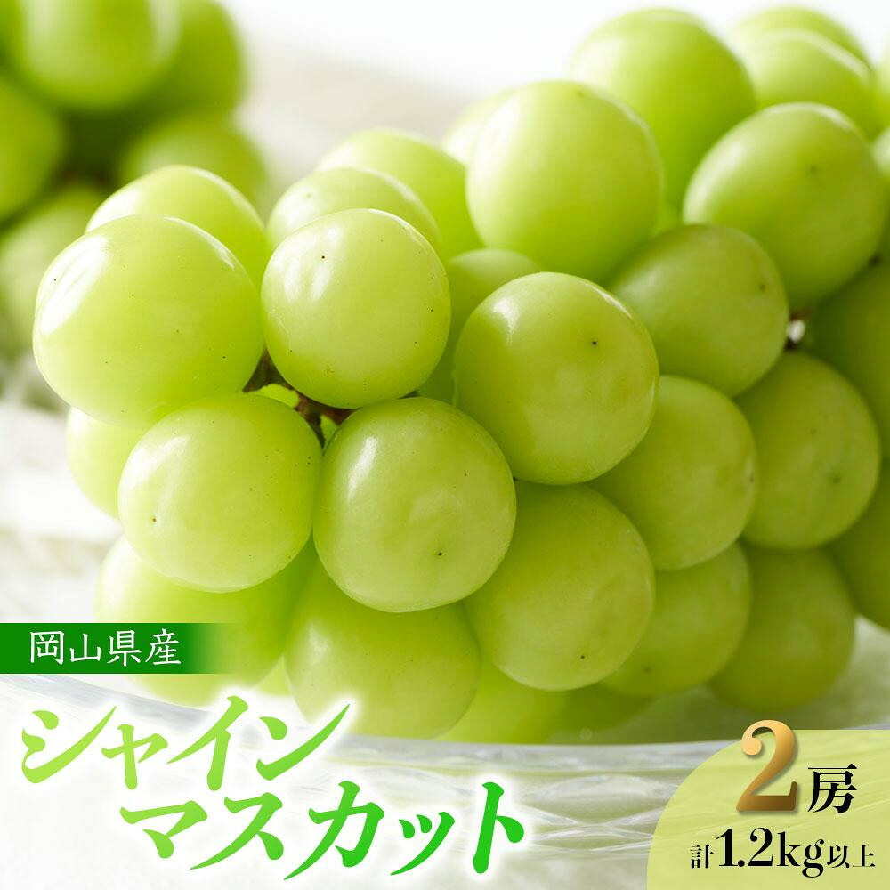 【ふるさと納税】【内容量が選べる】ぶどう 2026年 岡山県産 シャインマスカット 2房 計1.2kg以上又は 3～4房 計2kg以上 | フルーツ 果物 くだもの 食品 人気 おすすめ 送料無料｜岡山県岡山市