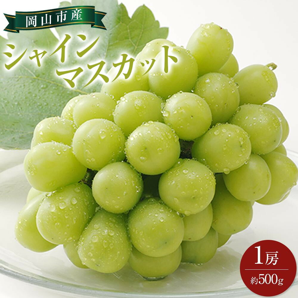 【ふるさと納税】【内容量が選べる】ぶどう 2026年 シャイン マスカット 1房 約500g又は2～3房 約1.3kg | フルーツ 果物 くだもの 食品 人気 おすすめ 送料無料｜岡山県岡山市