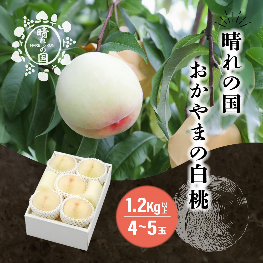 【ふるさと納税】【内容量が選べる】晴れの国 おかやまの白桃 1.2kg以上（4～5玉）又は2.0kg以上（7～8玉）＜先行受付：2026年8月中旬～発送＞｜岡山県岡山市