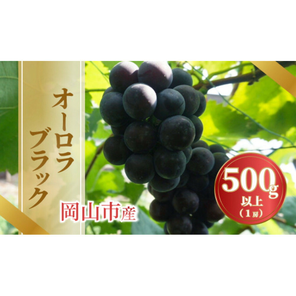 【ふるさと納税】【内容量が選べる】《2026年発送》岡山市産オーロラブラック 1房500g以上又は2～3房1kg以上｜岡山県岡山市 7,400円