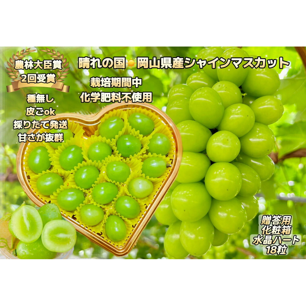 【ふるさと納税】ぶどう 2026年 シャインマスカット 大粒厳選秀品18粒 宝石箱 農林大臣賞2回受賞 ギフト 贈答用 贈り物 岡山 果物 フルーツ 採りたて発送 農家直送 数量限定 新鮮 水晶ハート化粧箱 | フルーツ 果物 くだもの 食品 人気 おすすめ 送料無料｜岡山県岡山市