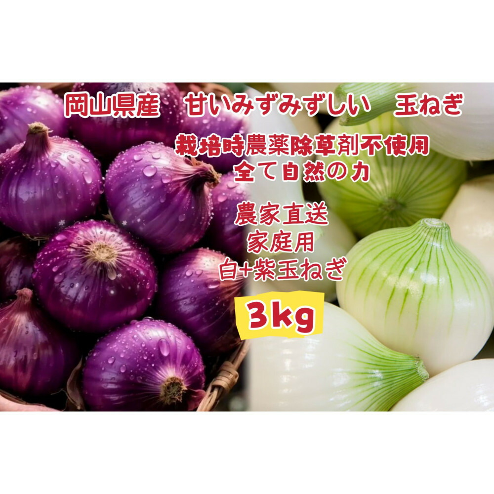 【ふるさと納税】甘すぎ新鮮岡山産 みずみずしい【白玉ねぎ+赤玉ねぎ】3kgセット家庭用 減化学肥料 タマネギ 生食 健康 野菜 食品 食べ比べ 培期間中農薬・除草剤不使用 自然の力 訳あり(サイズ混合) | 野菜 やさい 食品 人気 おすすめ 送料無料|岡山県岡山市