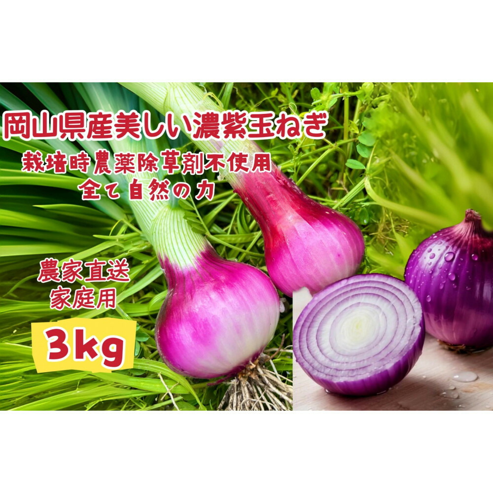 【ふるさと納税】甘すぎ新鮮岡山市産 赤紫玉ねぎ3kg 減化学肥料 家庭用 タマネギ 生食 健康 野菜 食品 栽培期間中農薬・除草剤不使用自然の力健康野菜 訳あり(サイズ混合) | 野菜 やさい 食品 人気 おすすめ 送料無料|岡山県岡山市