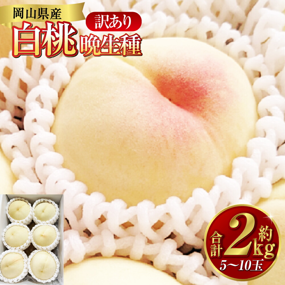【ふるさと納税】《訳あり》白桃 約2kg(5~10玉) 晩生種 もも モモ 岡山県 倉敷市 産 国産 フルーツ 果物 花田青果 果物・もも・桃・フルーツ 【2026年7月下旬~9月下旬迄順次発送予定】|岡山県倉敷市