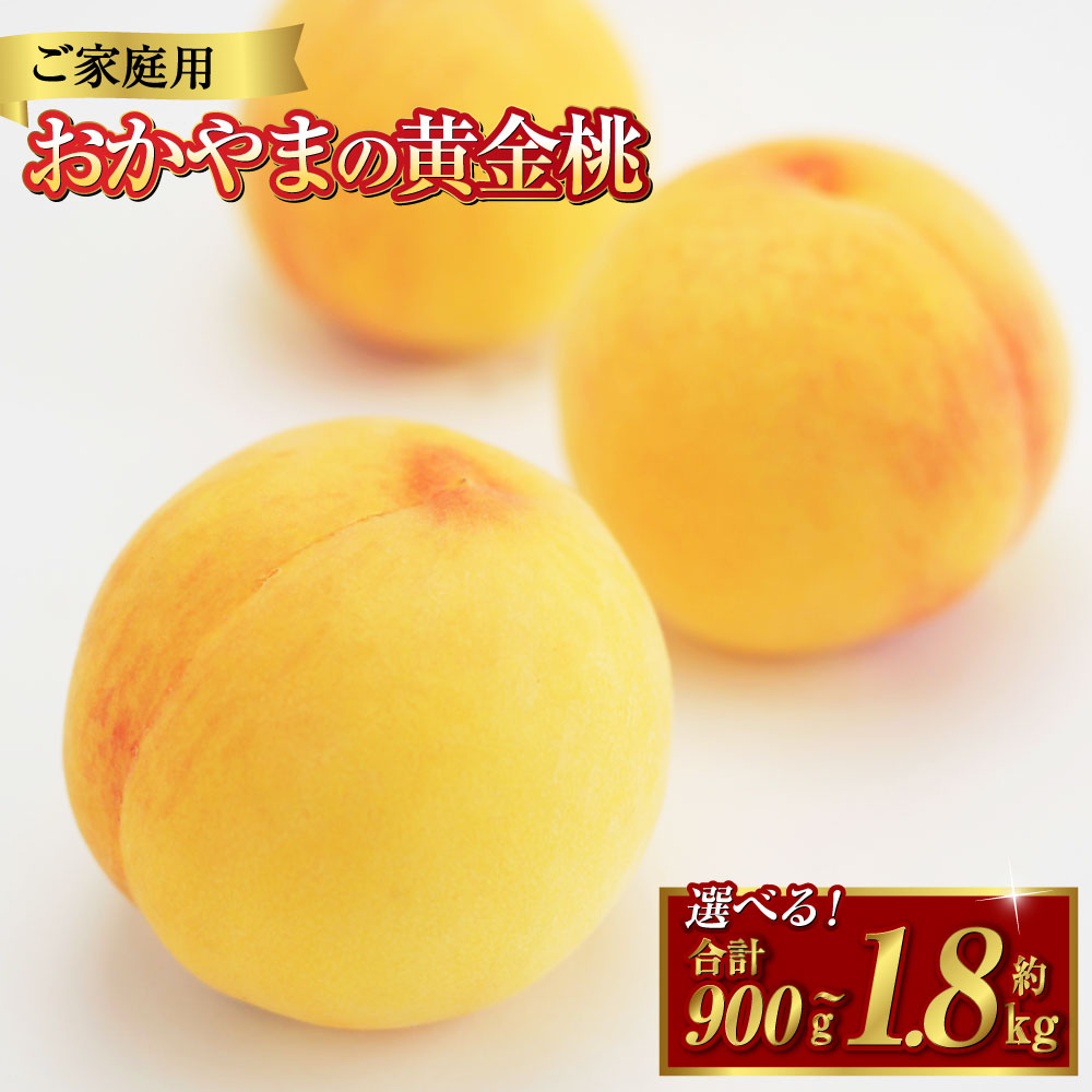 ドラゴンボール 天津飯 ナガサキヤ NAGASAKIYA 43 マイナー カード