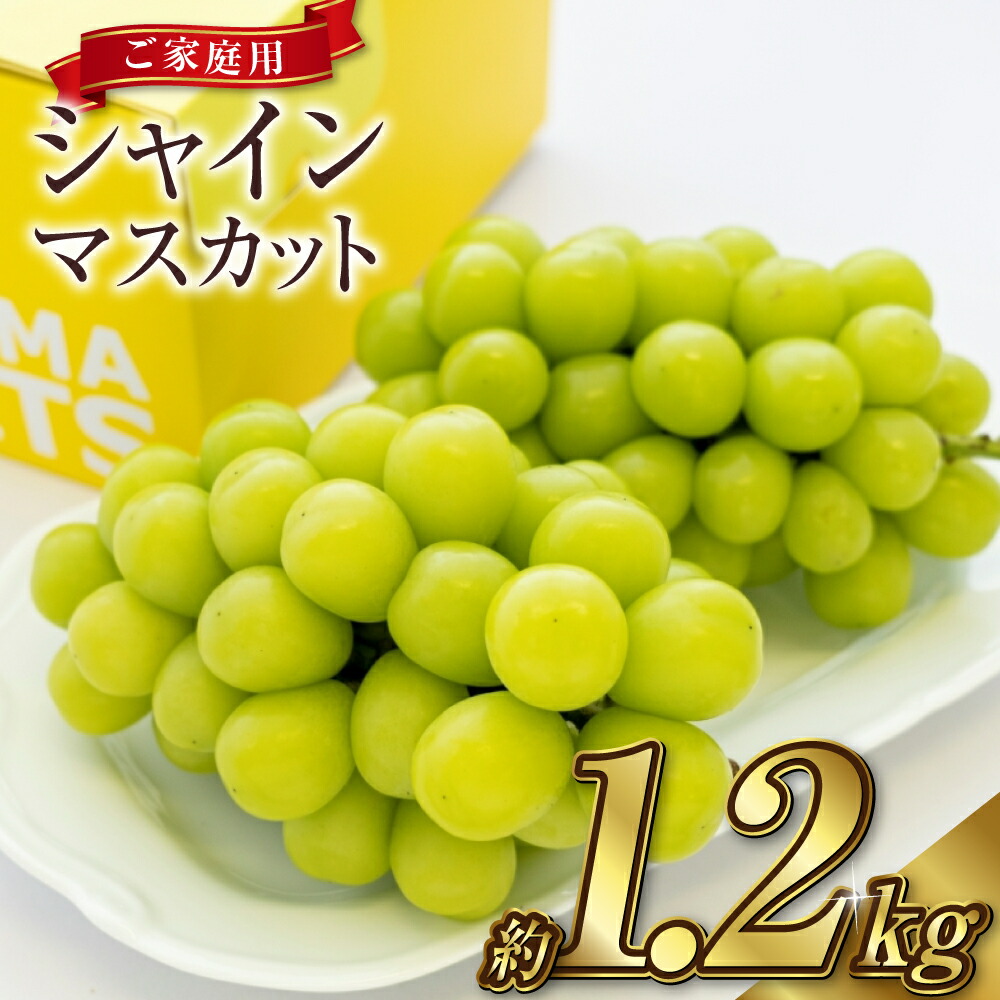 【ふるさと納税】ぶどう 2025年 先行予約 ご家庭用 シャイン マスカット 2～3房 合計約1.2kg ブドウ 葡萄  岡山県産 国産 フルーツ 果物 ギフト　 果物 ぶどう フルーツ デザート スイーツ 高糖度 甘い 種なし 大粒 人気 皮ごと【2025年9月上旬～10月下旬 発送予定】