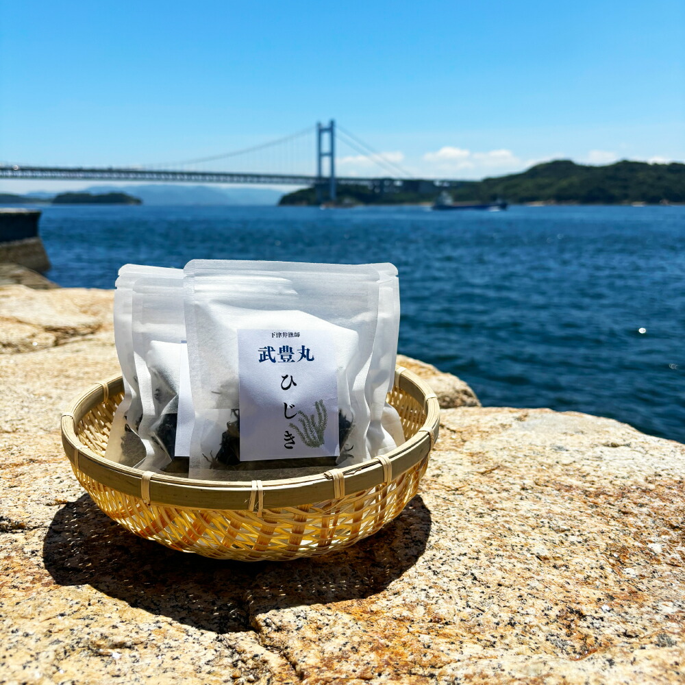 【ふるさと納税】乾燥ひじき 23g×3袋 計69g セット ひじき 岡山 倉敷市