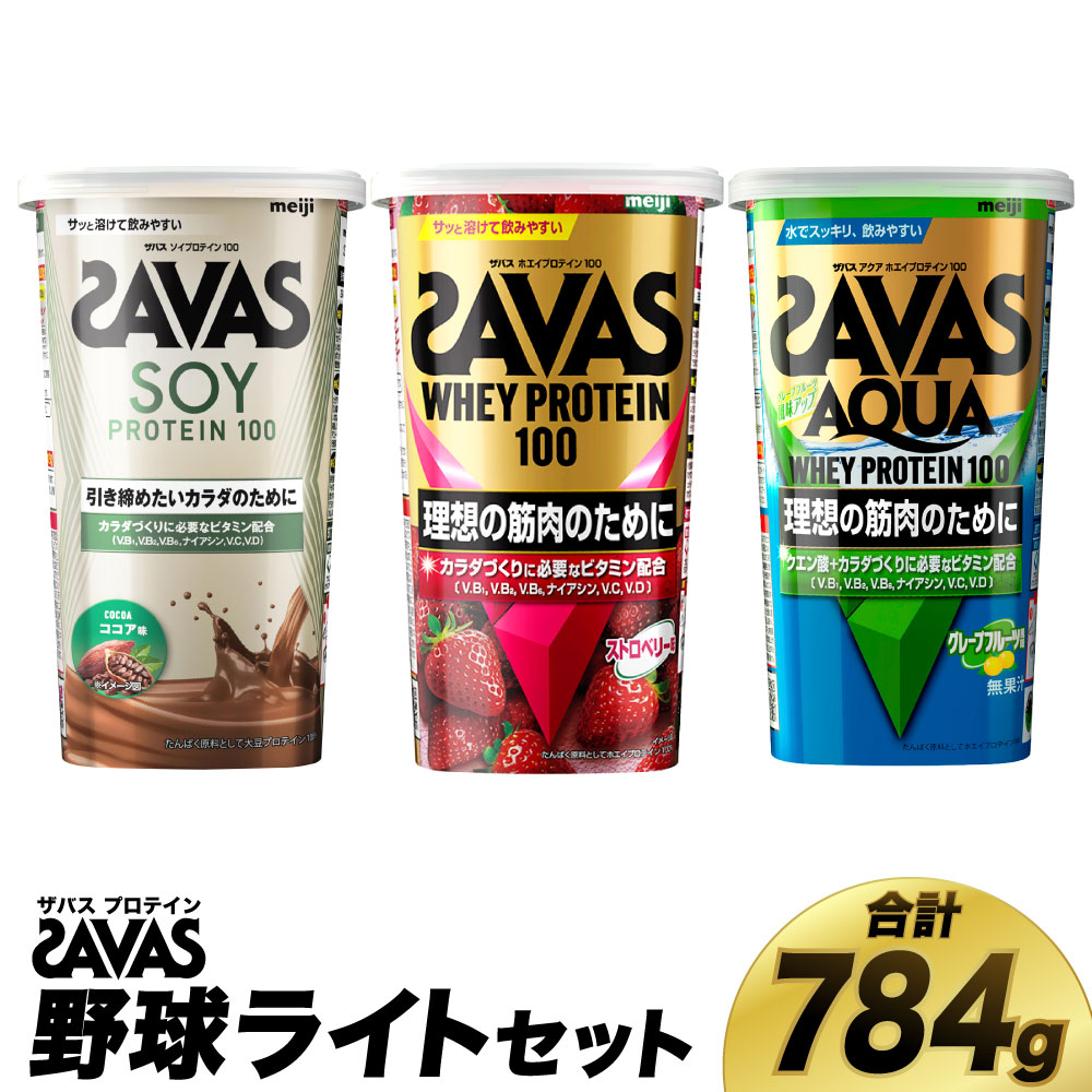 【ふるさと納税】ザバス たんぱく質 ベイスボールともし火書き割り 筋トレ 上半身メイク 栄養素付け足し 倉敷市