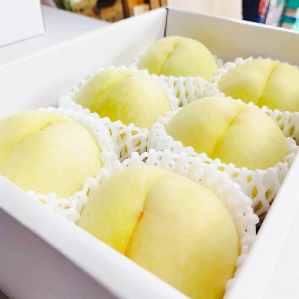 【ふるさと納税】【先行予約】桃 ご家庭用 岡山 白桃 1.5キロ箱 （6玉前後）【もも 桃 白桃 果物 フルーツ 国産 人気 おすすめ 岡山県 倉敷市】 送料無料【2025年6月上旬-8月上旬 発送予定】