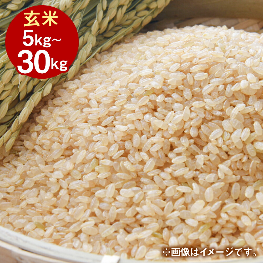 【ふるさと納税】令和7年産 岡山県産 きぬむすめ 玄米 5kg 10kg 20kg 30kg 選べる 容量 お米 米 ライス ご飯 ブランド米 主食 食卓 炭水化物 食品 つや 美しいお米 粘り強い 柔らかい あっさり 冷めても美味しい 【2025年10月上旬より発送開始】