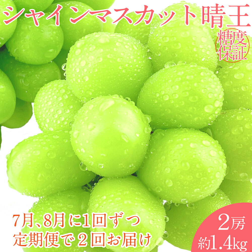 【ふるさと納税】シャインマスカット 晴王 2房 約1.4kg 岡山県産 種無し 皮ごと食べる みずみずしい 甘い フレッシュ 温室栽培 瀬戸内 晴れの国 おかやま 果物大国 満天フルーツ ぶどう 葡萄 倉敷市 送料無料 【先行予約：2026年7月上旬～8月下旬発送予定 2回定期便】