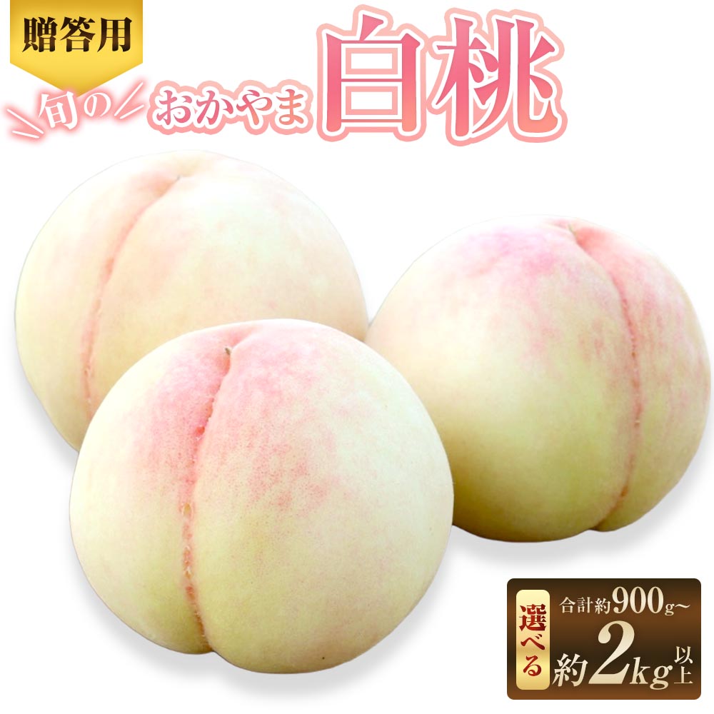 【ふるさと納税】＜選べる内容量＞【贈答用】旬のおかやま白桃 3玉（約900g） / 5～6玉（約1.5kg以上） / 7～9玉（約2kg以上） 白桃 桃 もも モモ フルーツ くだもの 果物 果実 デザート ギフト 贈答 国産 岡山県産 倉敷市 送料無料 【2026年7月上旬～8月下旬迄発送予定】｜岡山県倉敷市