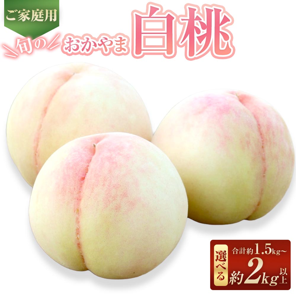 【ふるさと納税】<選べる内容量>【ご家庭用】旬のおかやま白桃 5~6玉(約1.5kg以上) / 7~9玉(約2kg以上) 白桃 桃 もも モモ フルーツ くだもの 果物 果実 デザート 岡山県産 国産 岡山県 倉敷市 送料無料 【2026年7月上旬~8月下旬迄発送予定】|岡山県倉敷市