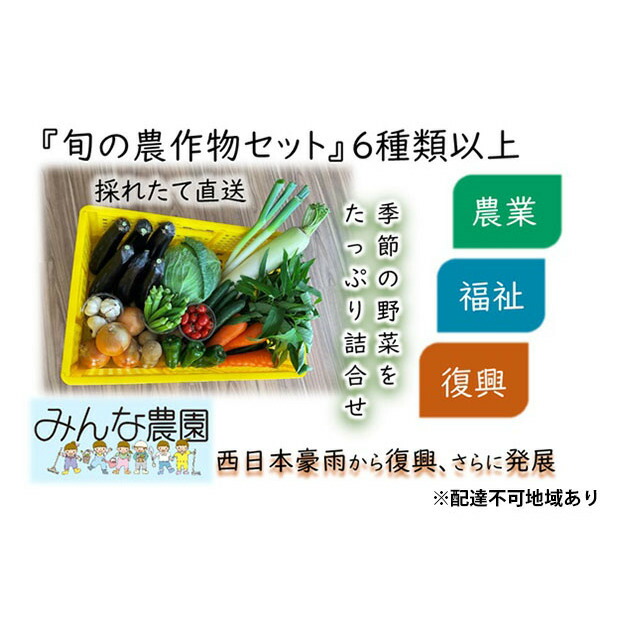 楽天市場】【ふるさと納税】シャインマスカット 晴王 2房（合計1.0kg以上） 岡山県倉敷市産 【果物類・ぶどう・マスカット・フルーツ・ シャインマスカット・ブドウ・晴王】 お届け：2022年9月上旬〜2022年12月下旬 : 岡山県倉敷市