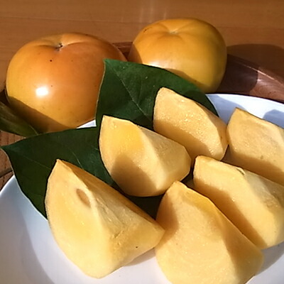 【ふるさと納税】【先行予約】津山産高級大甘柿　太秋大甘柿【配送不可地域：離島】【1035172】