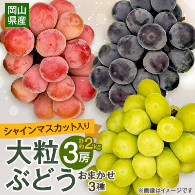 【ふるさと納税】【2025年10月より発送】大粒ぶどう3種セット2kg シャインマスカット ピオーネ クイーンニーナ【1244621】