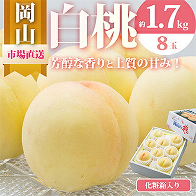 【ふるさと納税】【先行予約】岡山県産　白桃8玉(1.7kg以上)　化粧箱入り_ 桃 白桃 もも 甘い 果物 くだもの フルーツ 岡山県 津山市 人気 おすすめ 送料無料 贈答 ギフト 化粧箱 冷蔵 【配送不可地域：離島・北海道・沖縄県】【1281363】｜岡山県津山市 19,600円