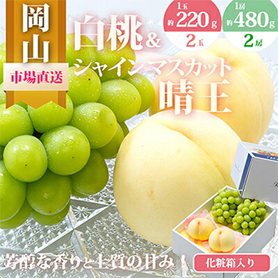 【ふるさと納税】【2025年発送】岡山県産　詰合せ/白桃とシャインマスカット『晴王』 化粧箱入り【配送不可地域：離島・北海道・沖縄県】【1281366】