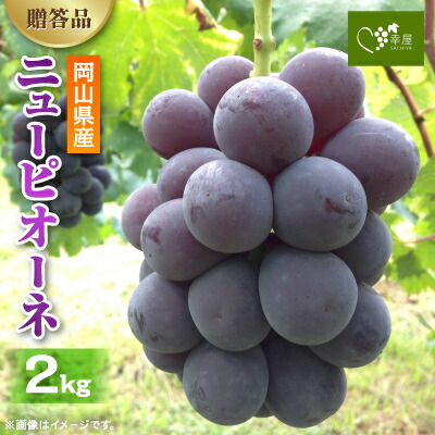 【ふるさと納税】新鮮・朝採り後即出荷!　岡山県　吉備高原産ニューピオーネ　2kg箱(3～4房入)ご贈答品【1299812】