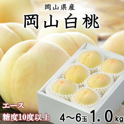 【ふるさと納税】【先行予約】岡山白桃 エース 4～6玉 1kg 岡山県産【配送不可地域：離島・北海道・沖縄県】【1305692】