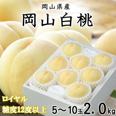 【ふるさと納税】【先行予約】岡山白桃 ロイヤル 5～10玉 2kg 岡山県産【配送不可地域：離島・北海道・沖縄県】【1305708】