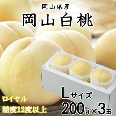 【ふるさと納税】【先行予約】岡山白桃 ロイヤル 3玉×200g (Lサイズ) 岡山県産【配送不可地域：離島・北海道・沖縄県】【1305716】