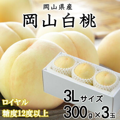 【ふるさと納税】【先行予約】岡山白桃 ロイヤル 3玉×300g(3Lサイズ) 岡山県産【配送不可地域：離島・北海道・沖縄県】【1305727】