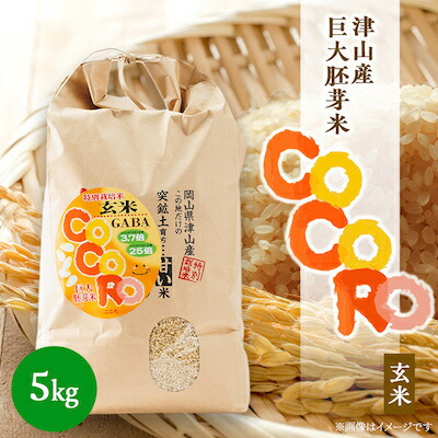【ふるさと納税】【突鉱土育ち】巨大胚芽米CoCoRo 5kg_ 米 ふるさと納税 5kg 巨大胚芽米 健康米 食物繊維 栄養価 こめ コメ お米 おこめ ご飯 ごはん 胚芽米 玄米 国産 産直 産地直送 岡山県 津山市 送料無料 【1361992】