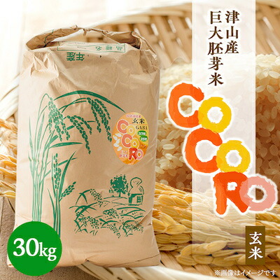 【ふるさと納税】【突鉱土育ち】巨大胚芽米CoCoRo 30kg【1361995】