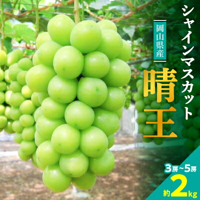 【ふるさと納税】【2025年発送】岡山名産【晴王】シャインマスカット2kg!8月下旬以降順次発送_ シャインマスカット ぶどう 葡萄 ブドウ 果物 くだもの 訳なし マスカット 晴王 フルーツ 人気 美味しい 岡山 産直 産地直送 ギフト 送料無料 【配送不可地域：離島】【1365277】