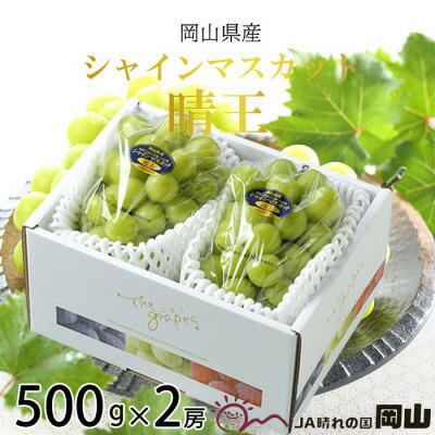 【ふるさと納税】【2025年8月発送】岡山県産　シャインマスカット　晴王　500g×2房【配送不可地域：離島・北海道・沖縄県】【1366035】