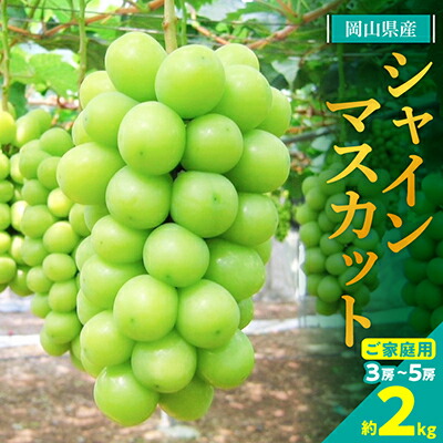 【ふるさと納税】【2025年発送】訳あり!シャインマスカット約2kg!9月上旬～順次発送【人気の岡山産ぶどう】_ シャインマスカット ぶどう 葡萄 ブドウ 果物 くだもの 訳あり マスカット フルーツ 人気 美味しい 岡山 産地直送 送料無料 【配送不可地域：離島】【1378276】