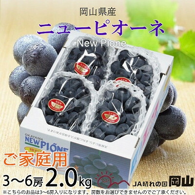 【ふるさと納税】【2025年8月発送】ご家庭用　岡山県産　ピオーネ　2kg(3～6房)【配送不可地域：離島】【1409719】