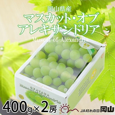 【ふるさと納税】【2025年9月発送】岡山県産　マスカット・オブ・アレキサンドリア　400g×2房【配送不可地域：離島・北海道・沖縄県】【1424422】