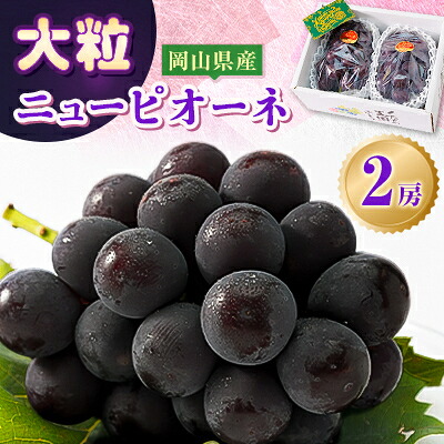 【ふるさと納税】【2026年発送分】岡山県産 大粒 ニューピオーネ 2房セット (1.2～1.5kg)_ ピオーネ 岡山産 大粒ぶどう 家庭用 フルーツギフト ぶどう ブドウ ニューピオーネ 種なし セット 果物 フルーツ 岡山県 津山市 送料無料 【配送不可地域：離島】【1433058】