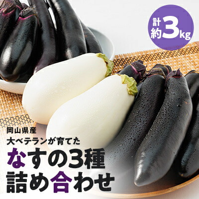 【ふるさと納税】【2026年7月以降発送】なす栽培歴50年の大ベテランが育てた”なすの詰め合わせセット約3kg ” 【1433408】