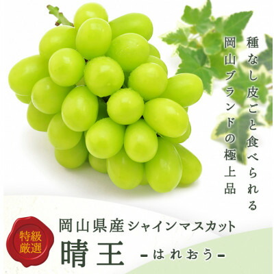 【ふるさと納税】【先行予約】岡山県産 シャインマスカット『晴王』 3～5房 (約2kg)_ シャインマスカット 晴王 ぶどう 葡萄 ブドウ 甘い 種なし 果物 くだもの フルーツ 岡山県 津山市 ギフト プレゼント 産直 産地直送【配送不可地域：離島・北海道・沖縄県】【1499103】