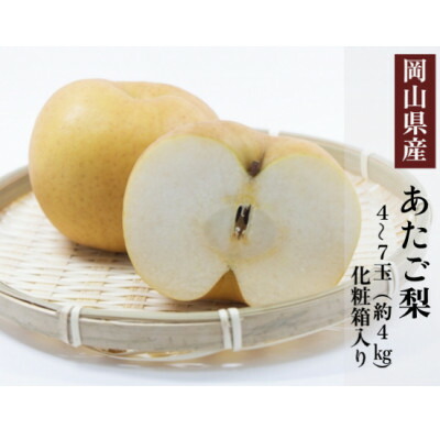 【ふるさと納税】岡山県産 あたご梨 4～7玉(約4kg) 化粧箱入り【配送不可地域：離島・北海道・沖縄県】【1499107】